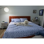 Member's Mark 500-Thread-Count Performance Printed Sheet Set, Assorted Sizes