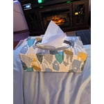 Member’s Mark Soft & Strong 2-Ply Premium Facial Tissues 12 Flat Boxes, 160 tissues/box