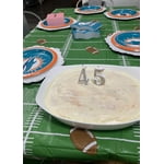 NFL Paper Plates & Napkins Kit, 285 ct., Choose Team