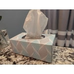 Member’s Mark Soft & Strong 2-Ply Premium Facial Tissues 12 Flat Boxes, 160 tissues/box